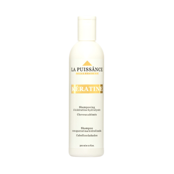 Shampoo La Puissance Keratine Anti Frizz Reparador 300ml
